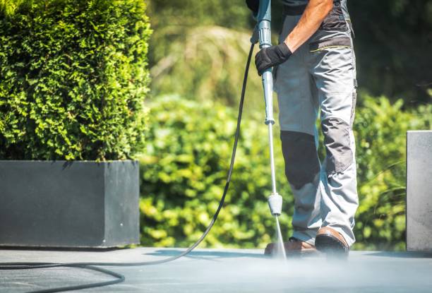 Animal Enclosure Cleaning in Jonestown, TX